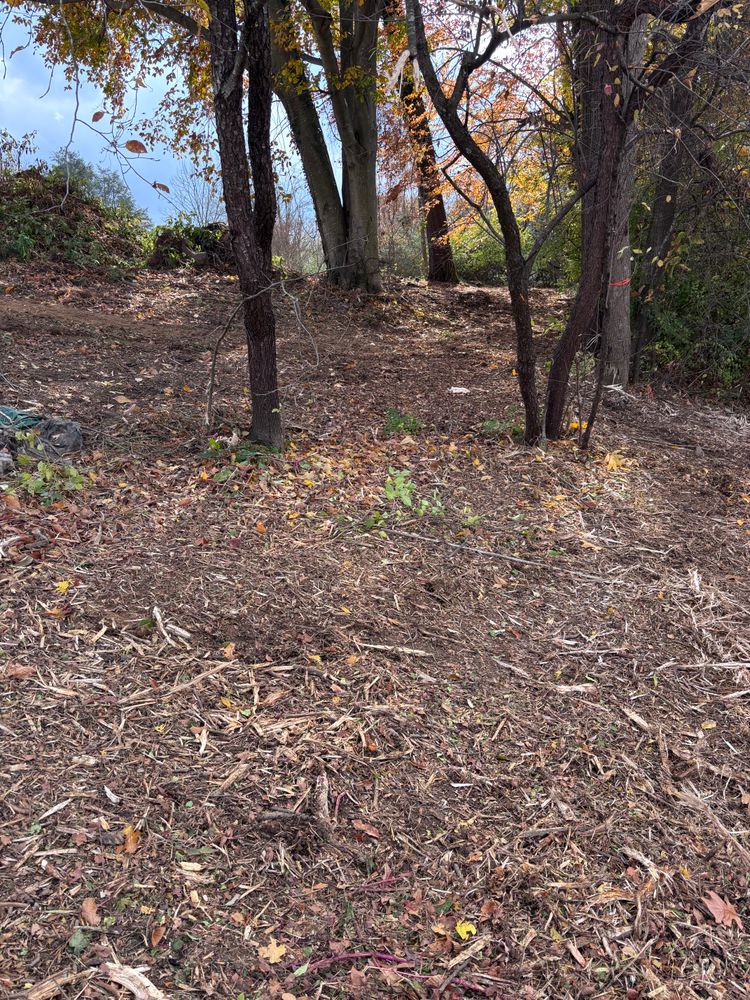 All Photos for Everything Outdoors in Abingdon, VA