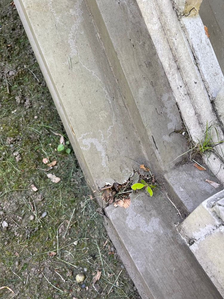 All Photos for Tony's Remodeling & Painting in Renton, WA