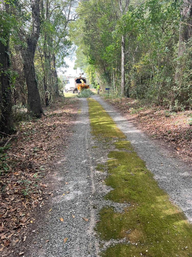 All Photos for Brooks Tree Service in Casar, NC