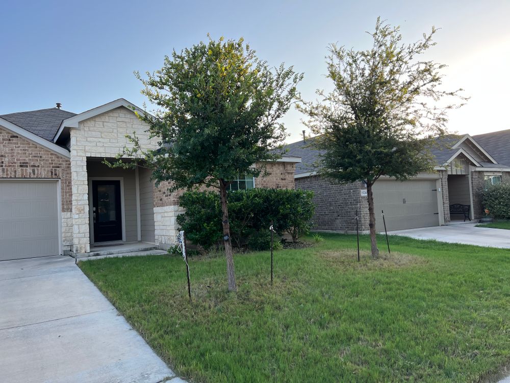 All Photos for DR Landscape in San Antonio, TX