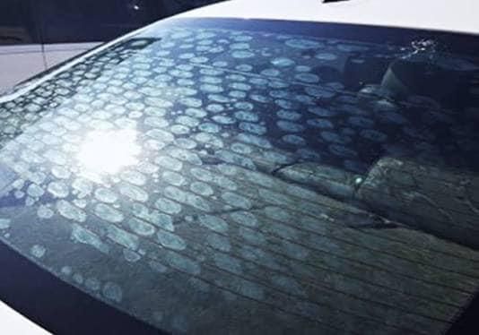 All Photos for Apex Windshield Repair & Window Tinting Myrtle Beach in Myrtle Beach, SC