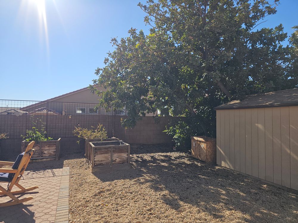 All Photos for T's Tree Service and Firewood in Apache Junction, AZ