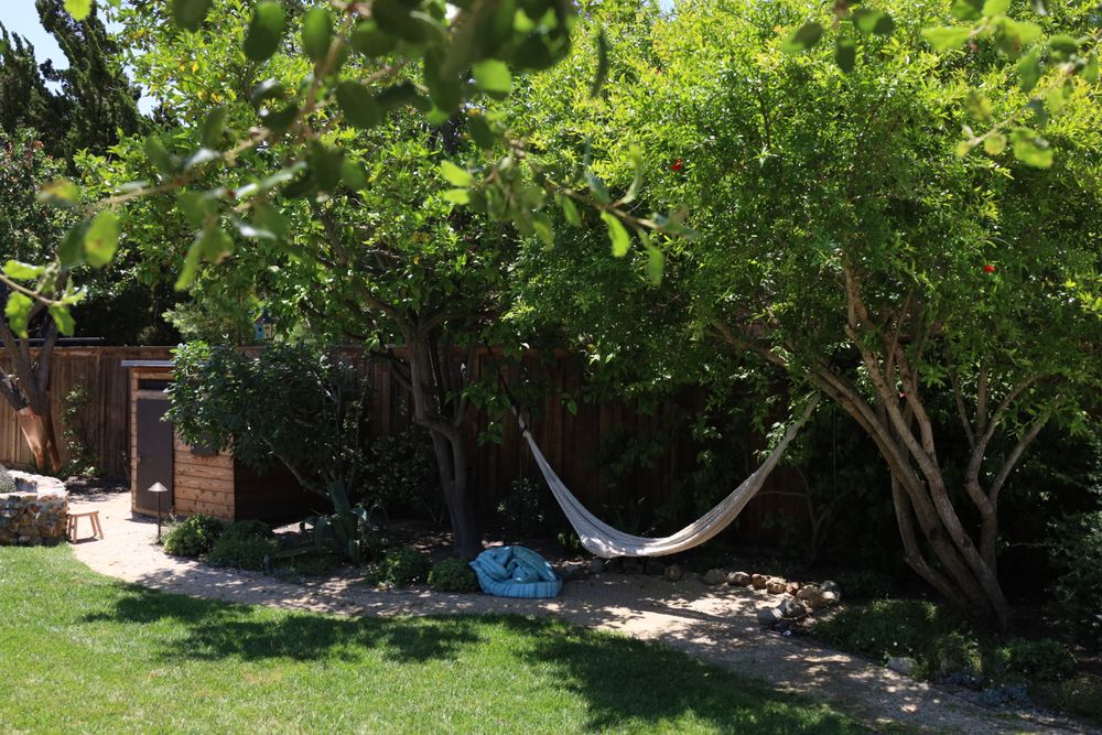 Fruit Tree Care for ARKADIA in Orange County, CA