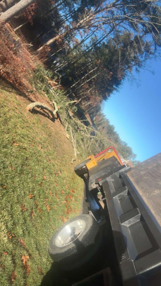 All Photos for Dwights Tree Service in Middleborough, MA