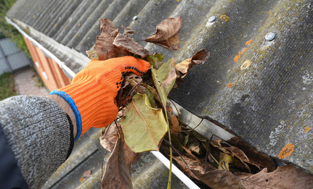 All Photos for Quality Gutter Plus in Ranger, GA
