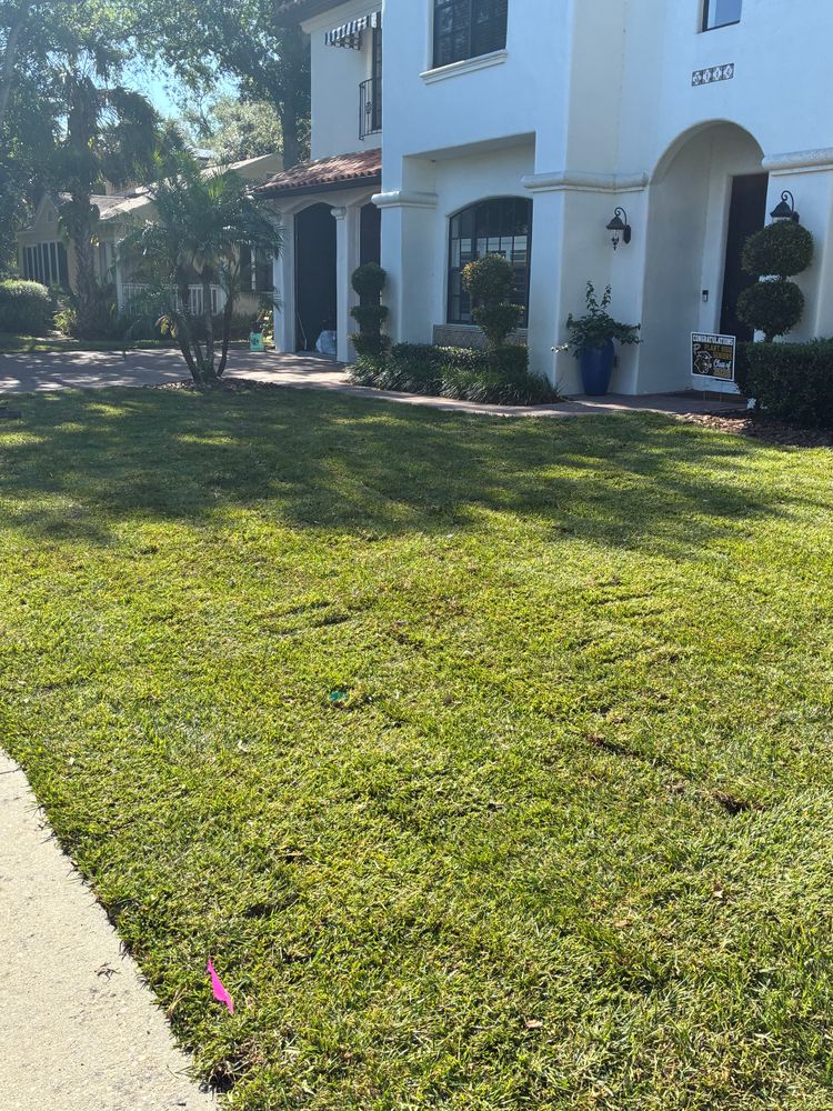 All Photos for Gulf Bay Sod in Clearwater, FL