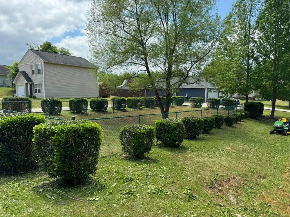 Hardscaping Landscaping for Thin Green Line Landscaping & More in Laurens, SC