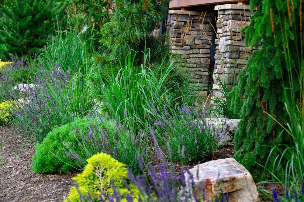 All Photos for Sustainable Lawn and Landscape in Banner Elk, NC