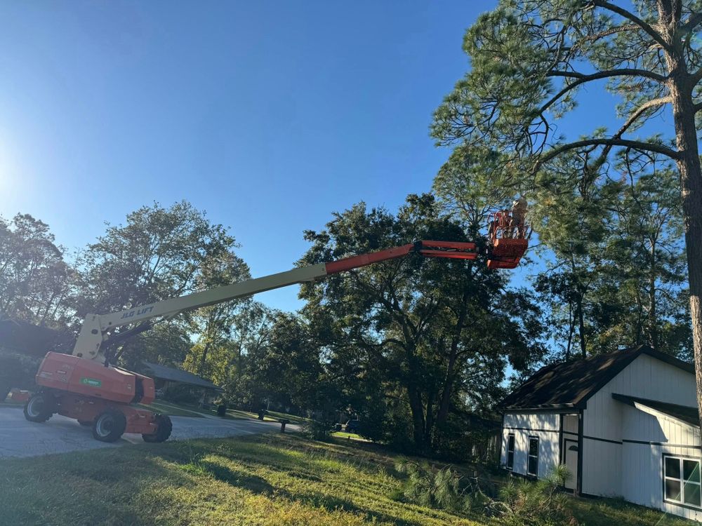 Our Tree Removal service ensures safe, efficient removal of hazardous or unwanted trees on your property, enhancing safety and aesthetics while protecting your landscape with expert care and minimal disruption. for All Seasons Tree and Land Works in Trenton, FL