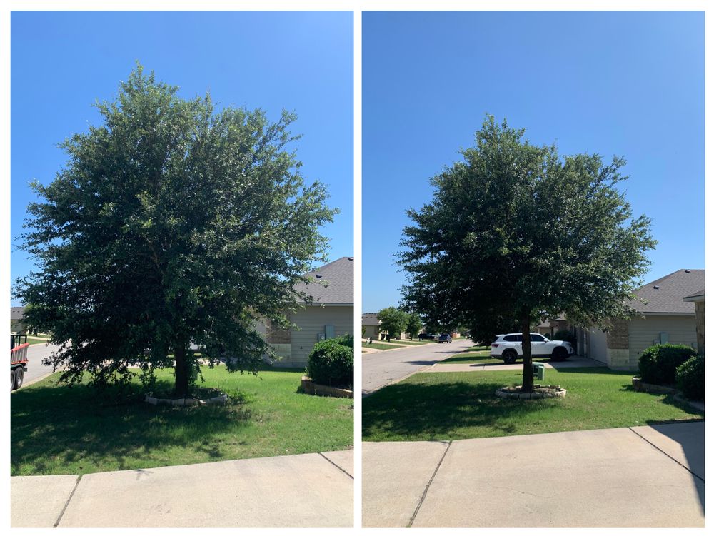 Lawn Care for Scalpel Lawn Service in Temple, TX