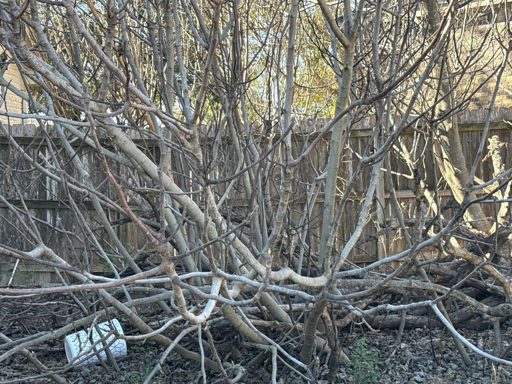 All Photos for Ansley Staining and Exterior Works in New Braunfels, TX