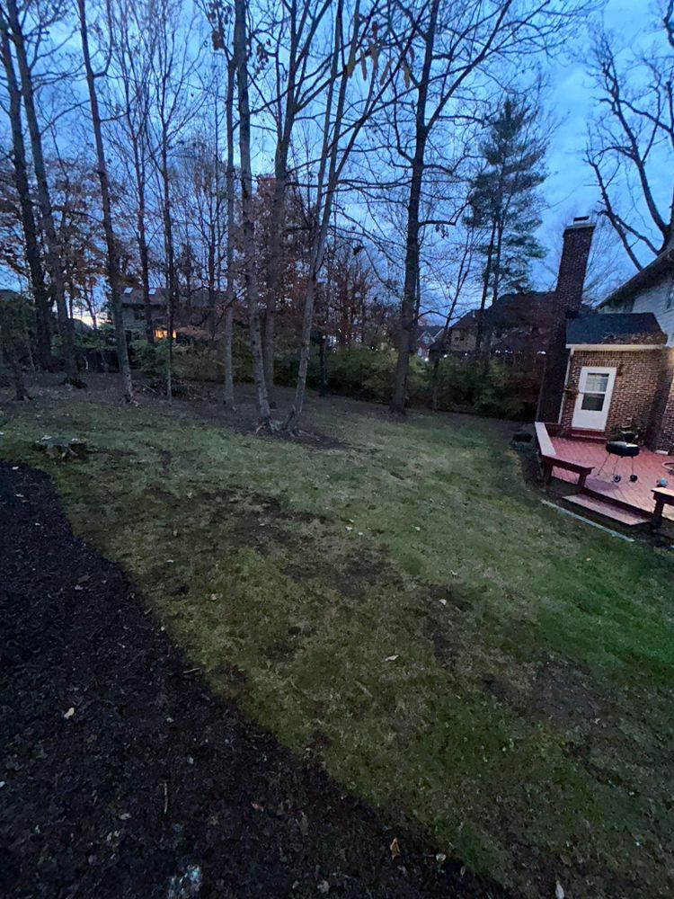 All Photos for Plenty Landscaping Solutions in Indianapolis, IN