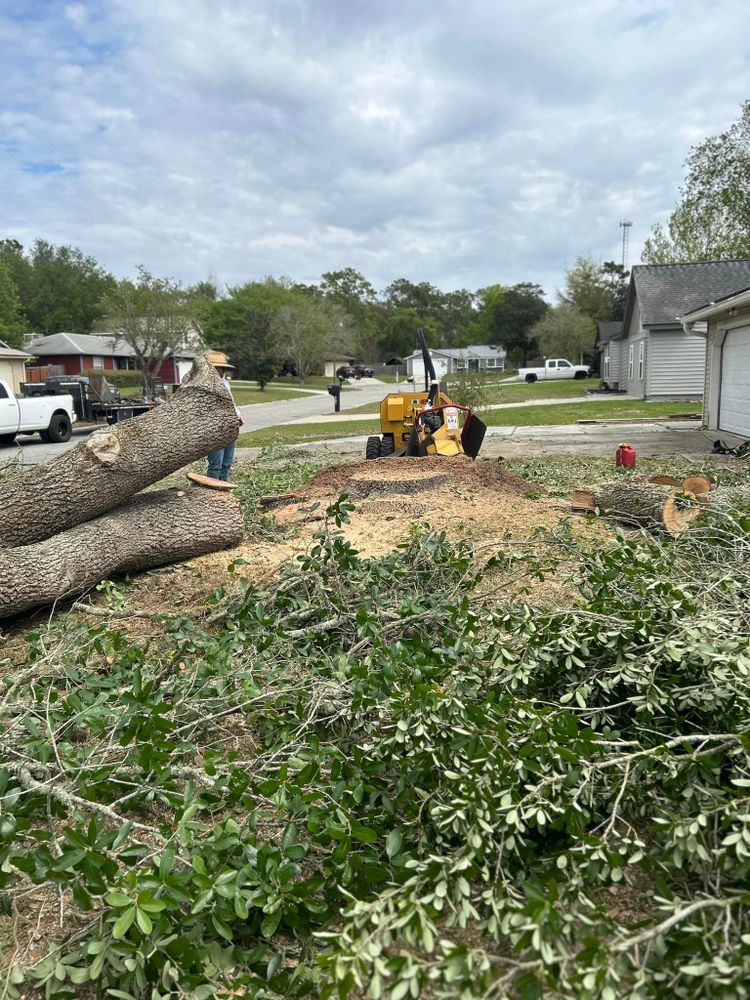 We offer professional stump removal services to completely eliminate unsightly tree stumps from your property, ensuring a clean and smooth landscape for you to enjoy. for Top Notch Tree Experts in Orange Park, FL