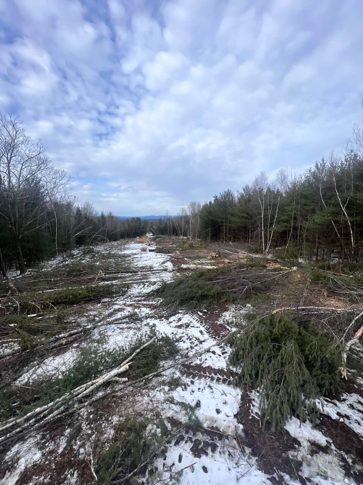 Our Tree Removal service efficiently and safely removes unwanted trees, enhancing your property’s aesthetics and safety. Trust our experienced team to handle everything with minimal disruption to your landscape. for Bradleyworx in Troy, NH