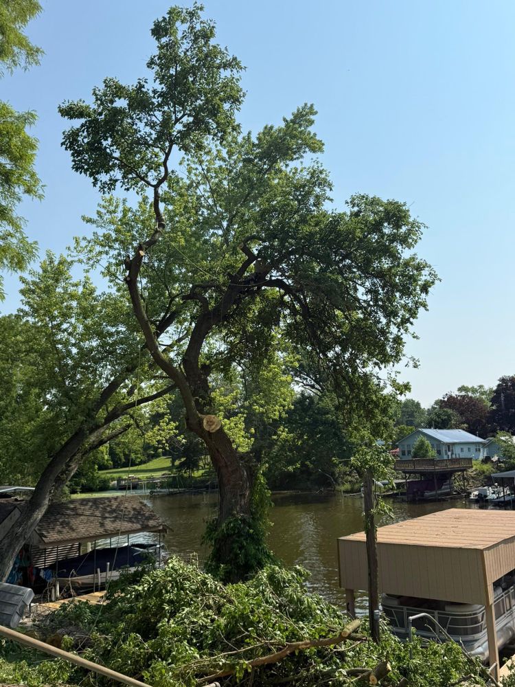 All Photos for Hunnicutt’s Tree Service L.L.C. in Monticello, IN