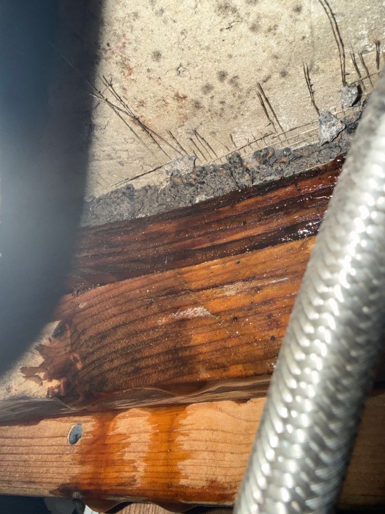 All Photos for Surplus Public Adjusters in Miami-Dade County, FL