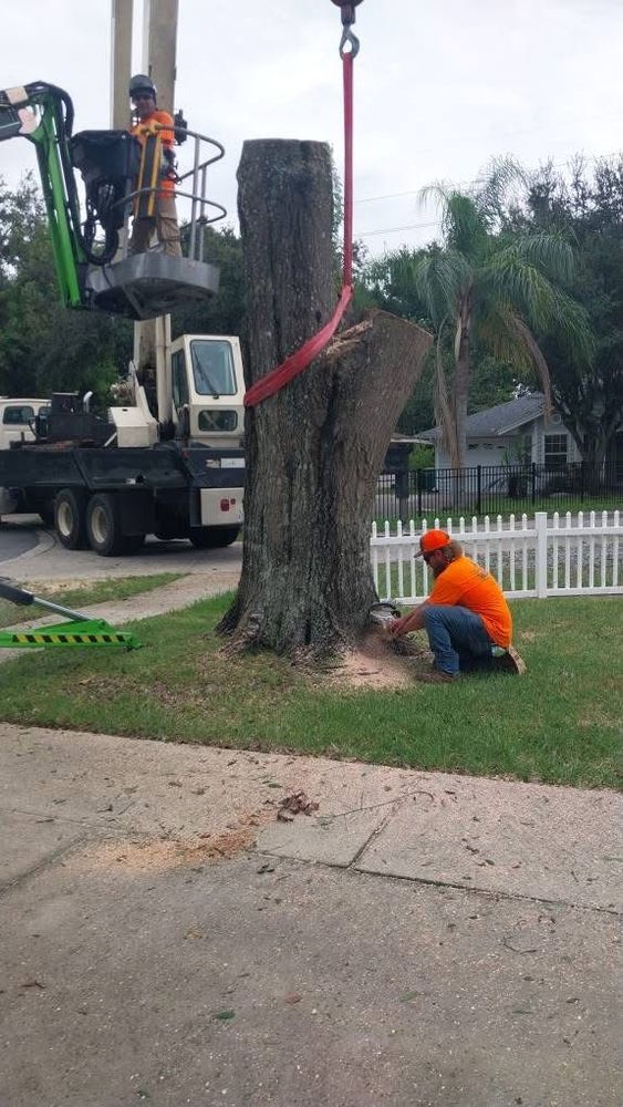 All Photos for Daniel Hickey’s Tree Service in DeLand, FL