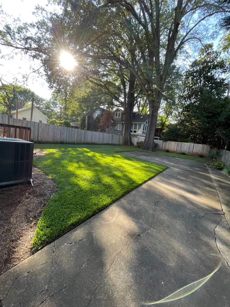 Lawn Care for DLS Landscaping in Charlotte, NC