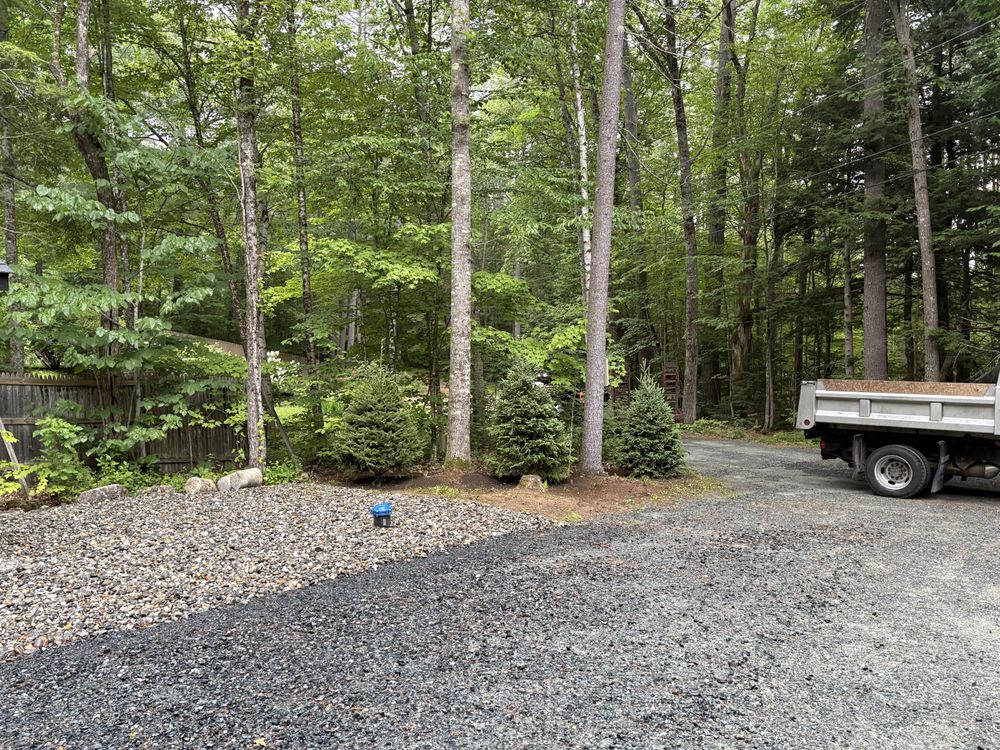 Enhance your home's curb appeal with our expert Tree Pruning and Trimming service, promoting healthy growth while ensuring safety by removing dead or overgrown branches for a aesthetically pleasing and secure landscape. for Thomas Clifford Property Services LLC in Enfield, NH