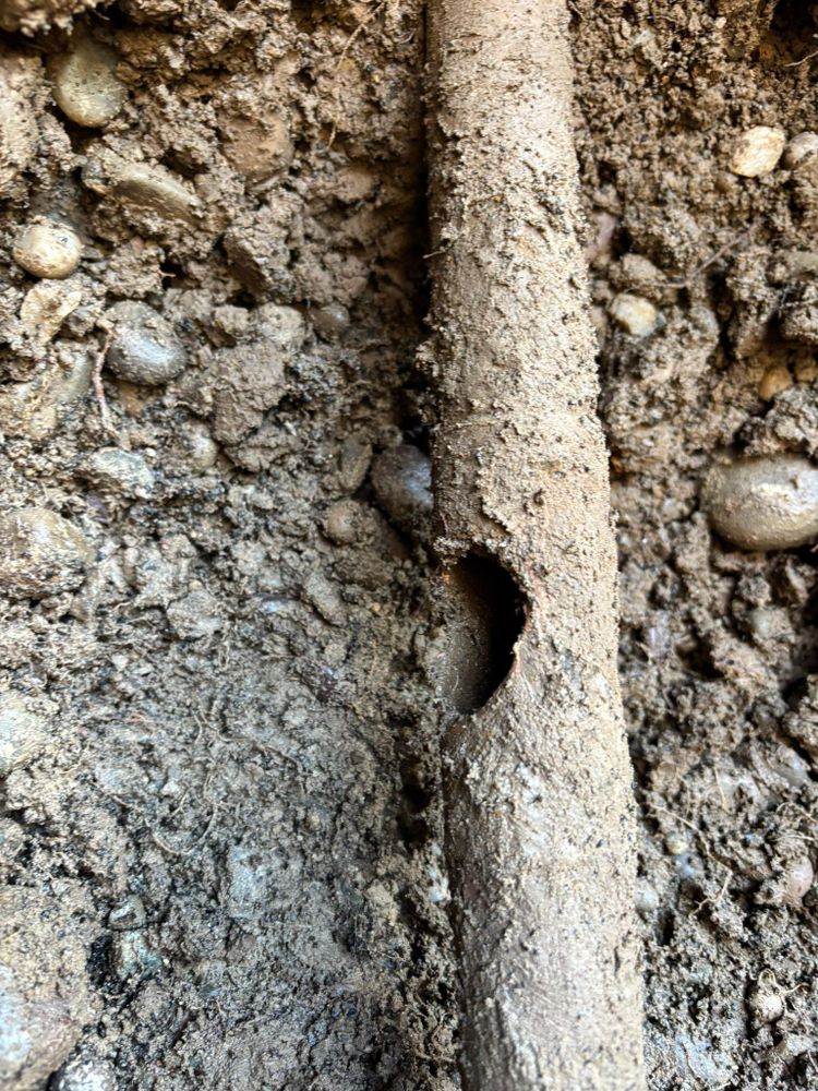 All Photos for Falls Property Services  in Idaho Falls, ID