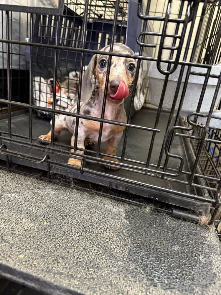 All Photos for V.I.P Plumbing in Sandpoint, ID