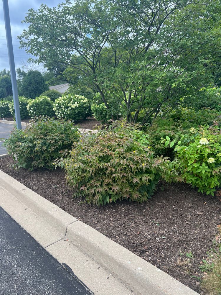 Landscaping for Trim Seasonal Services in Milwaukee, WI