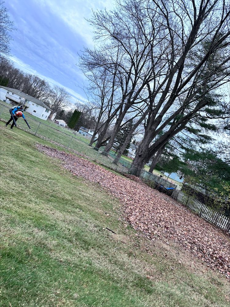 Leaf Removal for 4 Brothers Landscaping LLC in Albany, NY