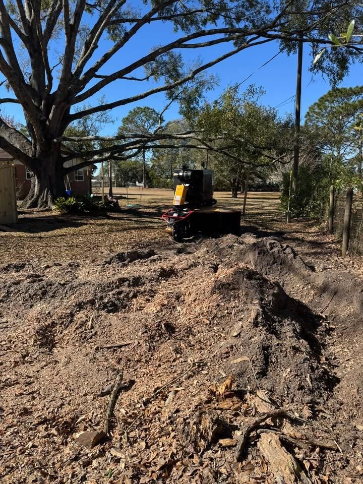 All Photos for Jacksonville Outdoors in Jacksonville, FL