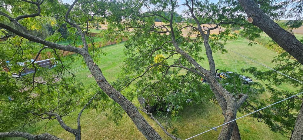 All Photos for Highborn Tree Service in Wheatfield, IN