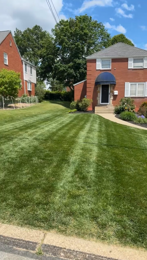 Wilder Landscaping Services team in South Park, PA - people or person