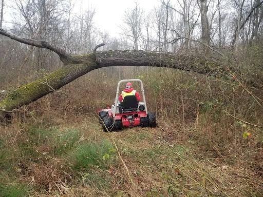 Brush Cutting and Removal for Fayette Property Solutions in Fayetteville, GA