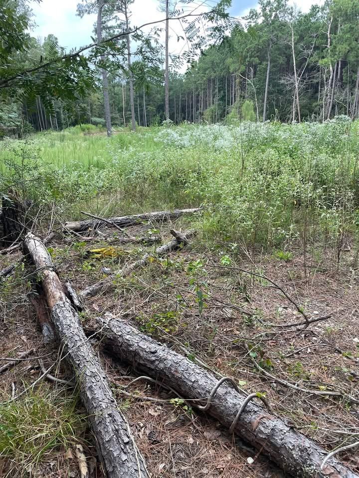 All Photos for Landers Ranch Services in Anderson, TX