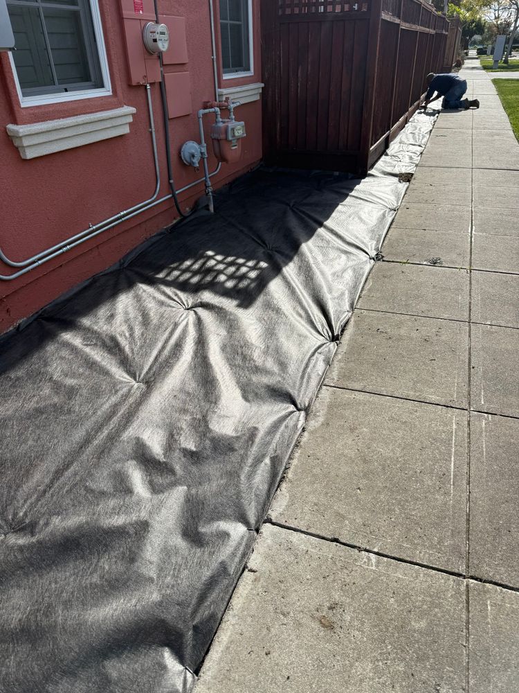 All Photos for CBA Landscaping in Hayward, CA