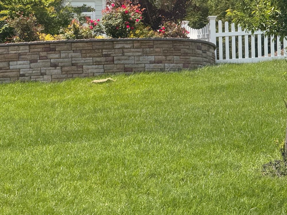 All Photos for Matteo Hardscapes in Towson,  MD