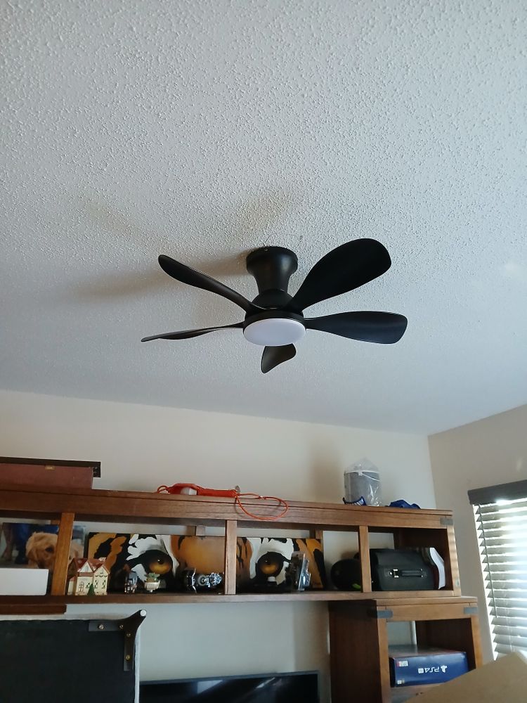 All Photos for Dead Tree General Contracting in Carbondale, Illinois