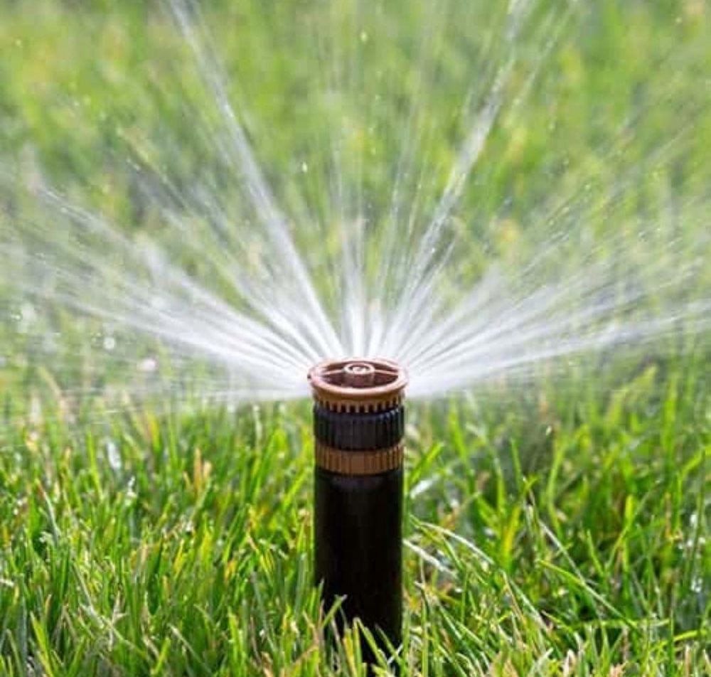 All Photos for The Sprinkler Lady in Port Orange, FL