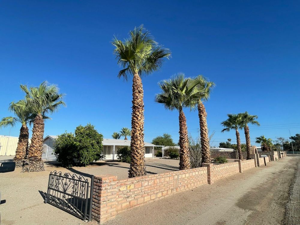All Photos for Oliver L. Palm & Tree services in Yuma County, AZ