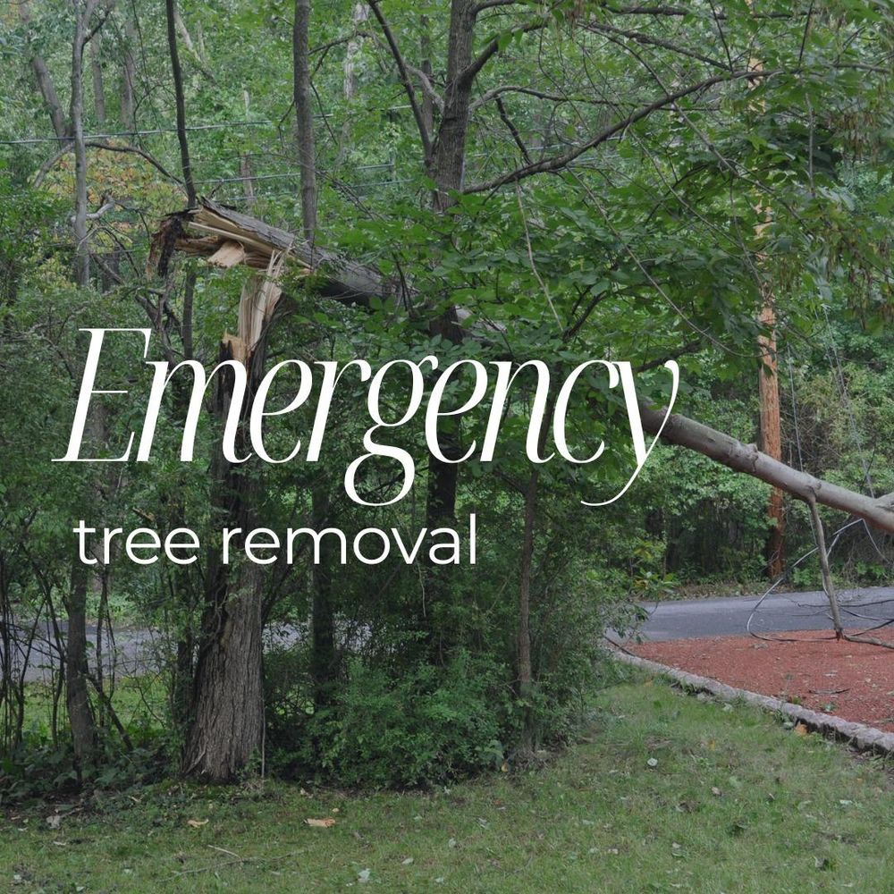 All Photos for Oakwood Tree Removal LLC in Oak Creek,  WI
