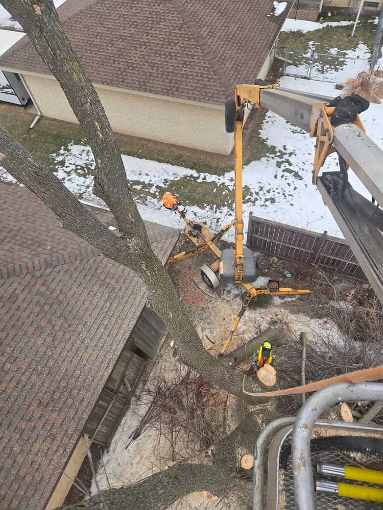 All Photos for K and Z Tree Care in Isanti County, MN