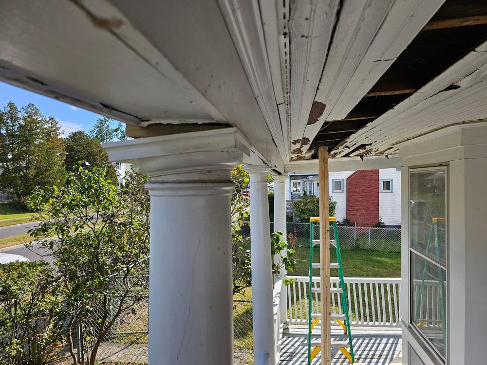 All Photos for The Painter in Citrus Heights, CA