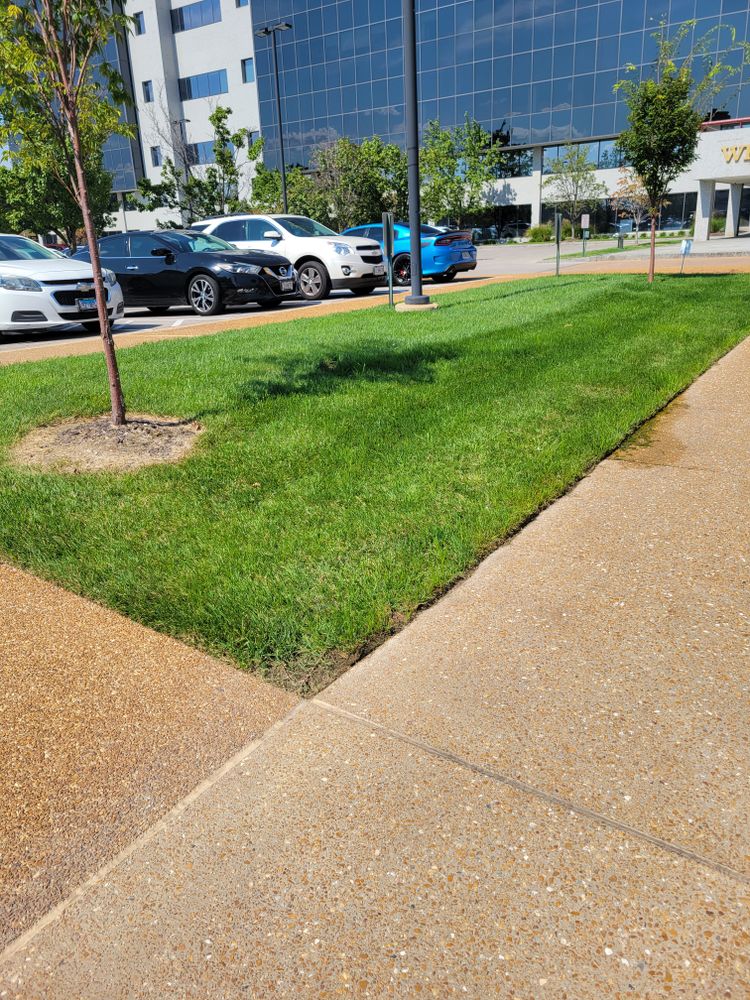 All Photos for Contemporary Landscape in St. Louis, MO