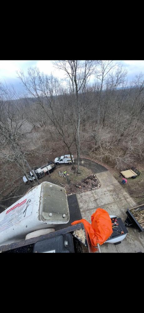 All Photos for Dig-It Tree Company in Mason, OH