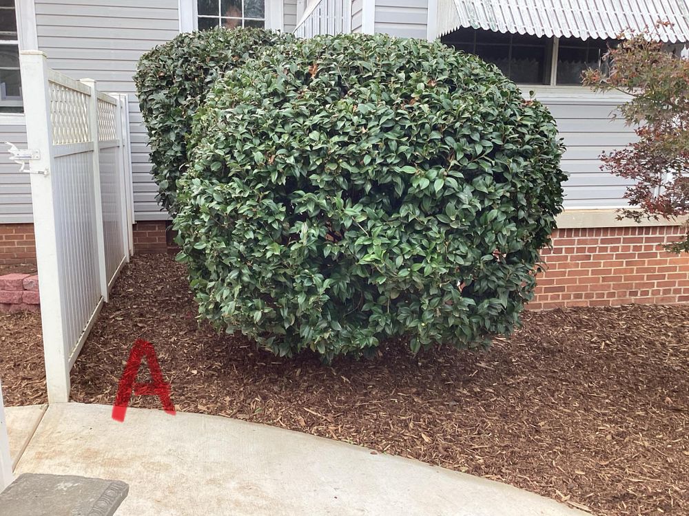 All Photos for Xtreme Landscaping & Lawn Care in Lincoln, AL
