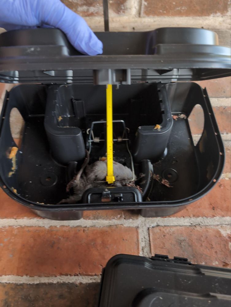 All Photos for Topper's Wildlife Removal in Garland, TX