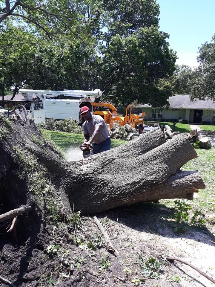 Tree2Tree Tree Service team in Sherman, Texas - people or person