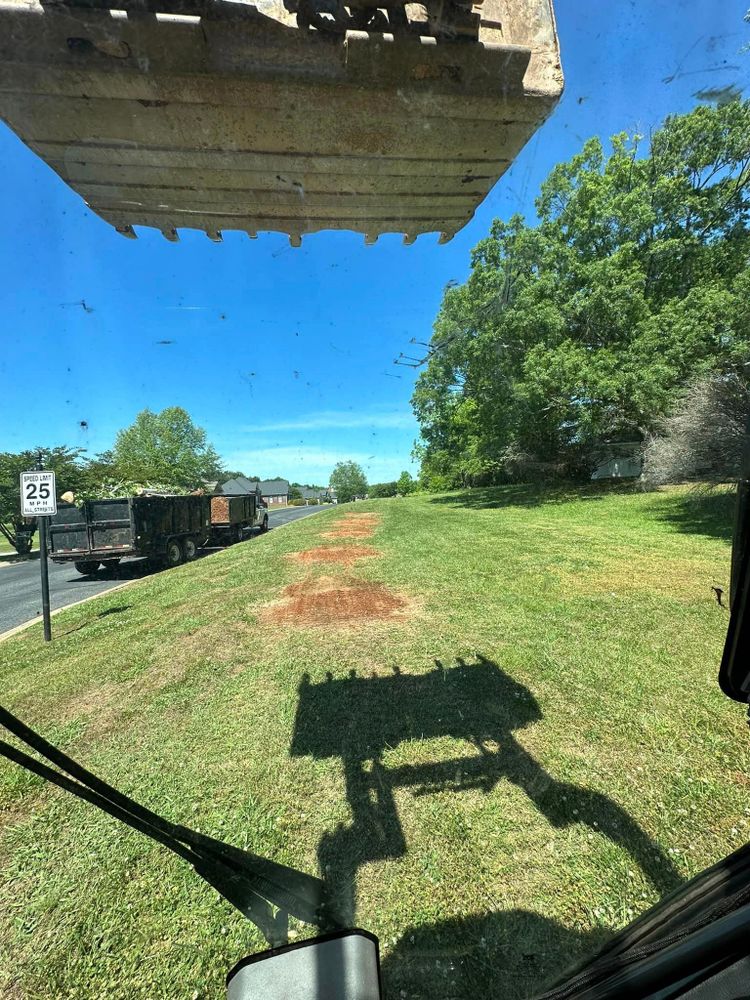 Tree Removal for Moore’s Tree Service in Chesnee, SC