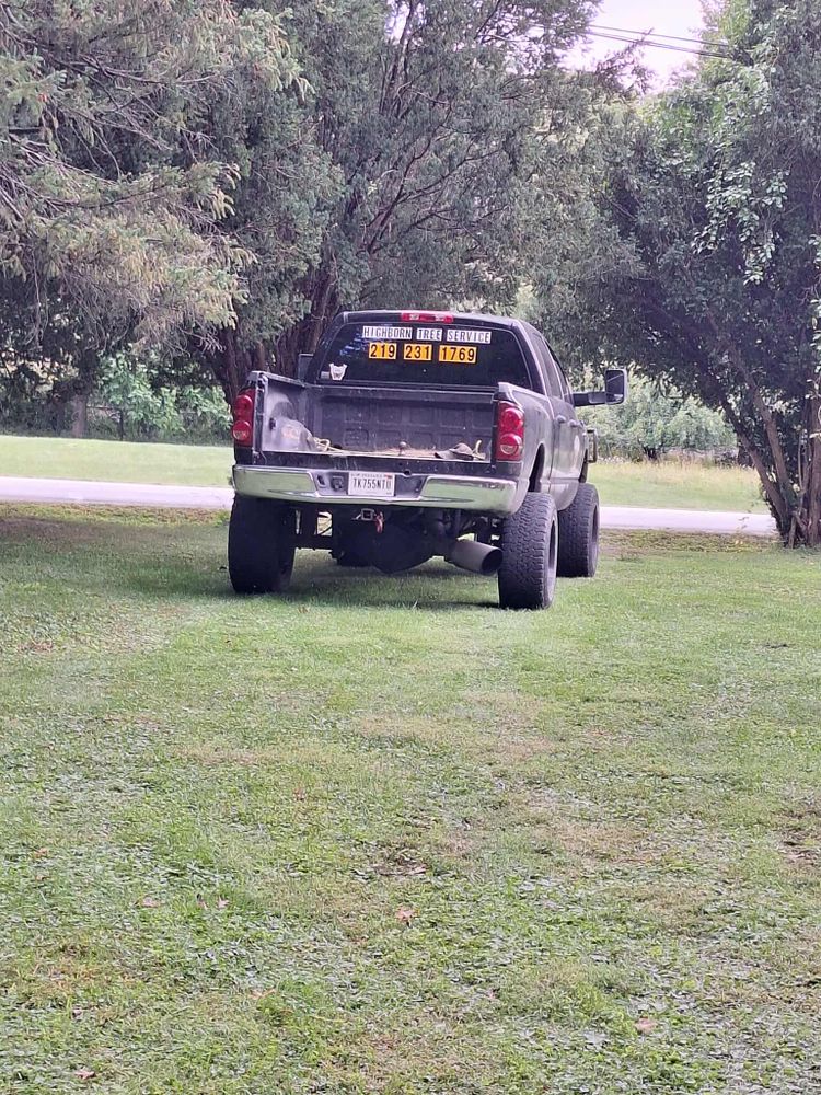 All Photos for Highborn Tree Service in Wheatfield, IN