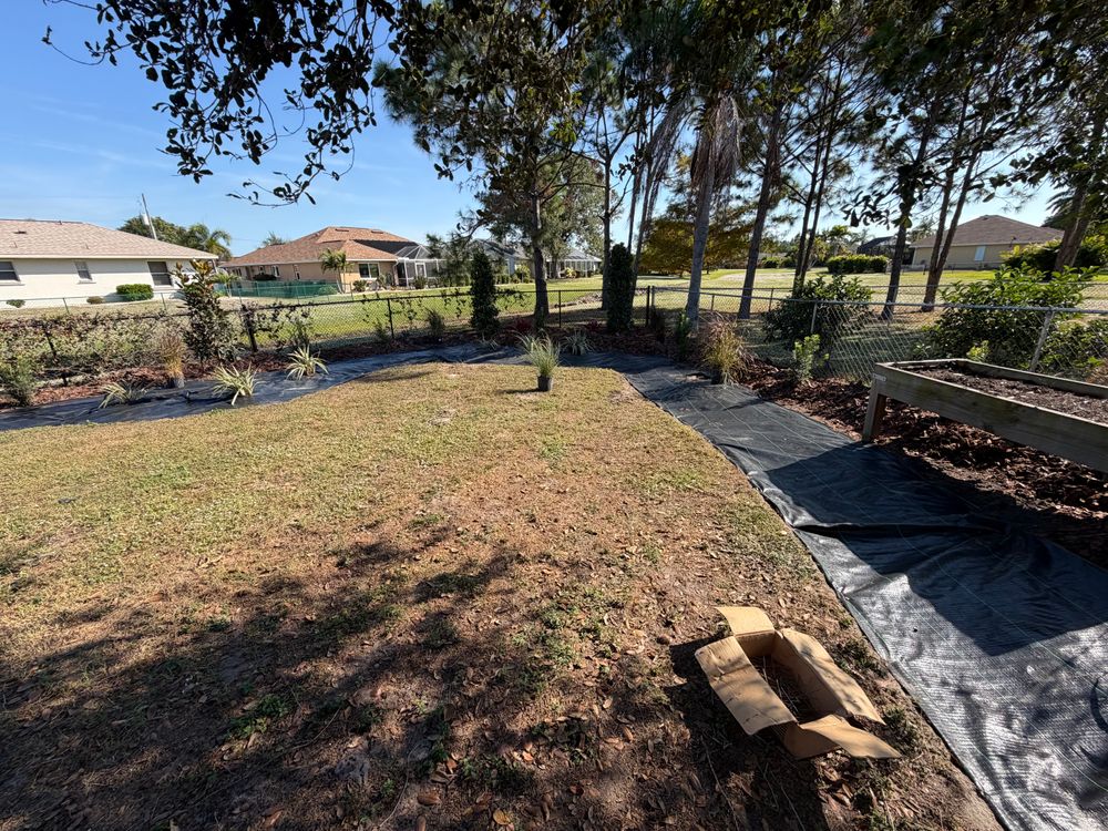 All Photos for Rize N’ Grind  in Punta Gorda, FL