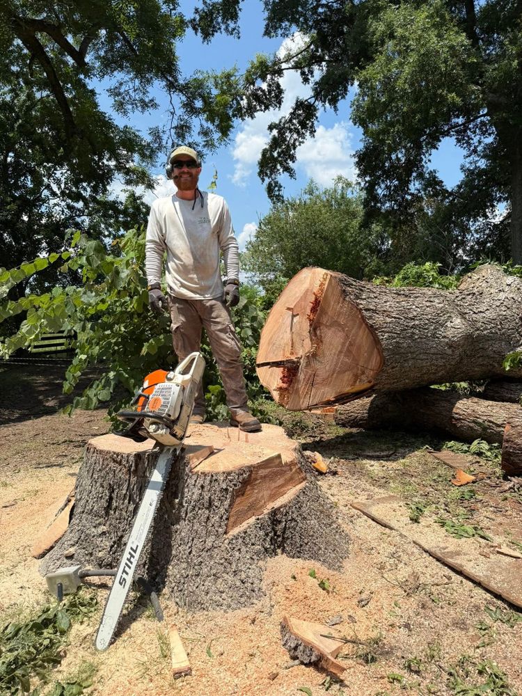Tree Removal for T N L - Tree and Land Service in Reynolds, GA