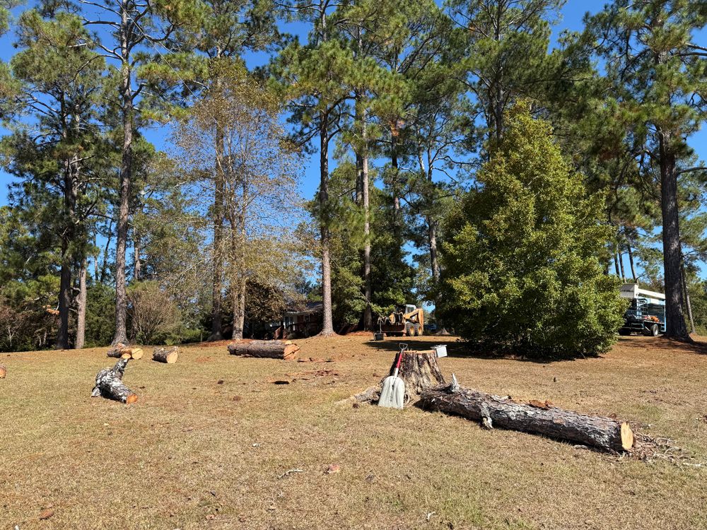 All Photos for T N L - Tree and Land Service in Reynolds, GA